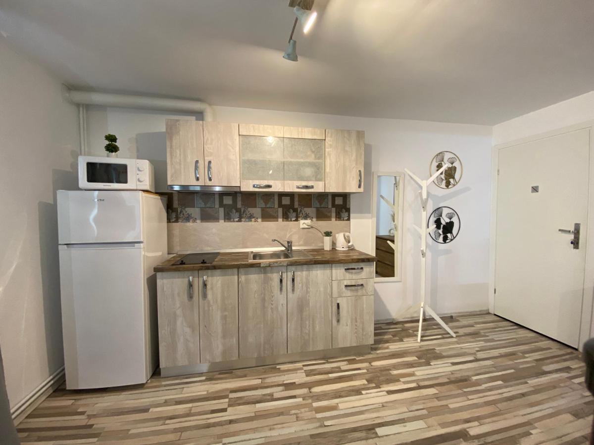 Apartament Urseni Timişoara
